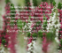 Healing Prayer - Thy Name is My Healing O My God